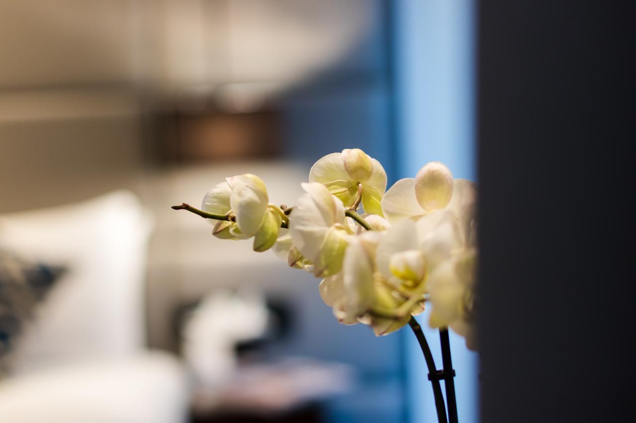 Montcalm Chilworth Townhouse, Paddington Hotell London Eksteriør bilde The photo features a close-up of a delicate, white orchid flower. The flower is set against a blurred background that suggests a stylish indoor environment, possibly a hotel or a modern living space. The background includes a hint of soft furnishings